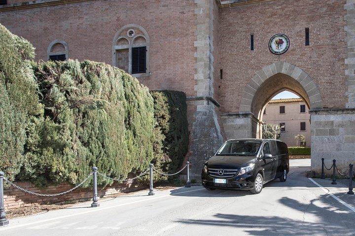 Vintur Bolgheri Halvdags udflugt fra Piombino Port