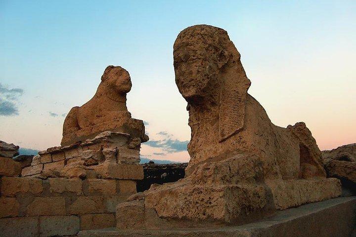 Excursion d'une journée du Caire à AL Fayoum