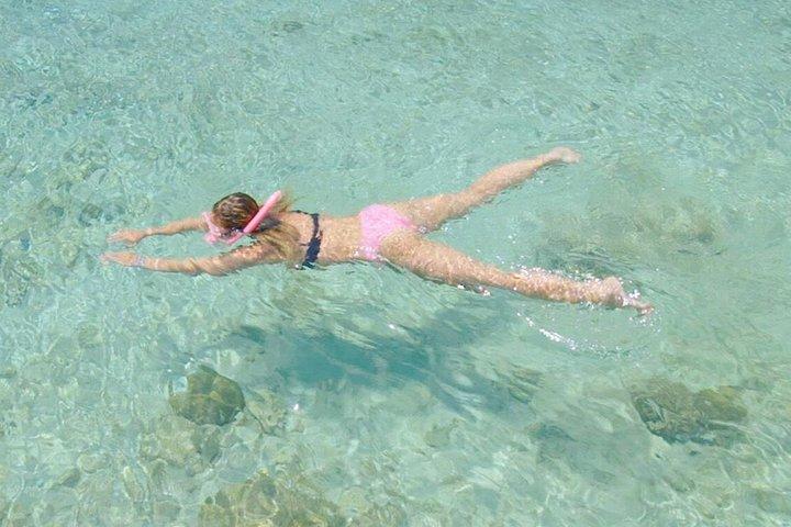 Tour guidato di snorkeling nella migliore barriera corallina dalla costa di Curacao - Blue Bay Beach