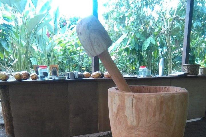 Chocolate, Coffee & Sugar Cane Experience - La Fortuna
