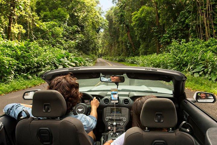 Big Island Avventura nella giungla dell'Isola del Nord - Tour audio autoguidato