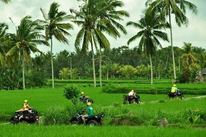 Bali ATV Ride Ubud Jungle Track