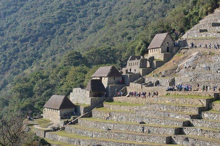 Machupicchu Tour by train I Full-Day Trip
