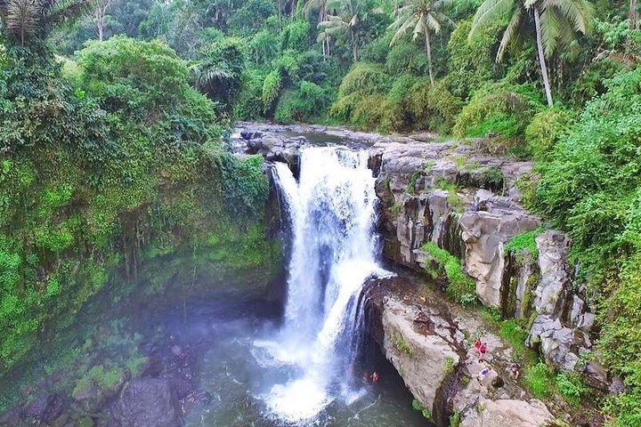 Private Ubud e Volcano Day Trip