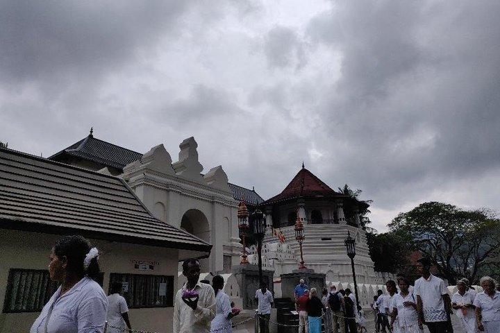Circuit de 10 jours au Sri Lanka