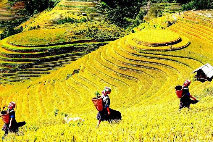 Sapa 2 Days Trek con 1 Night Homestay