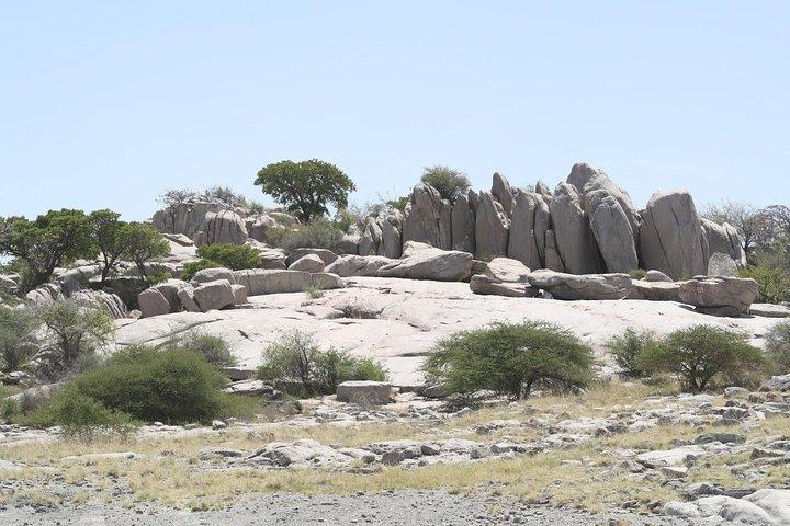 Safari de 7 jours dans le centre du Botswana
