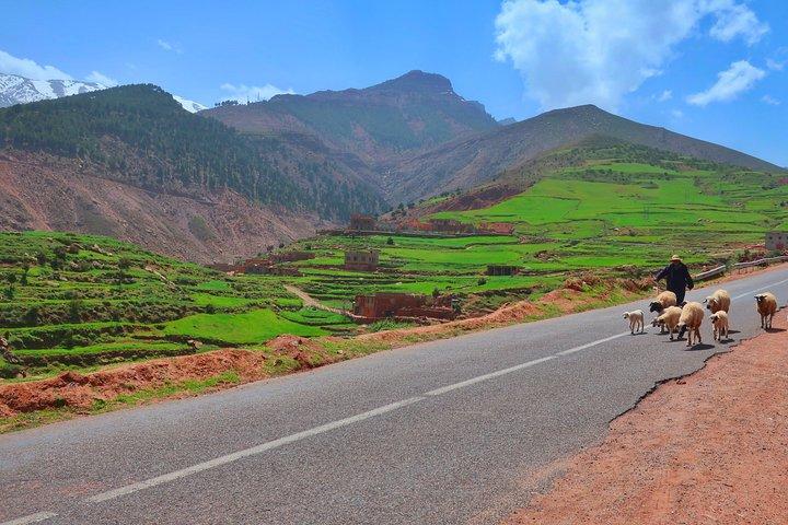 Excursión privada de un día a las montañas del Atlas