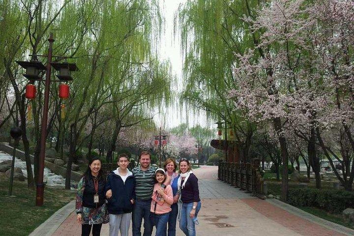 Inner City Private Day Tour To Big Wild Goose Pagoda, City Wall &Muslim Quarter