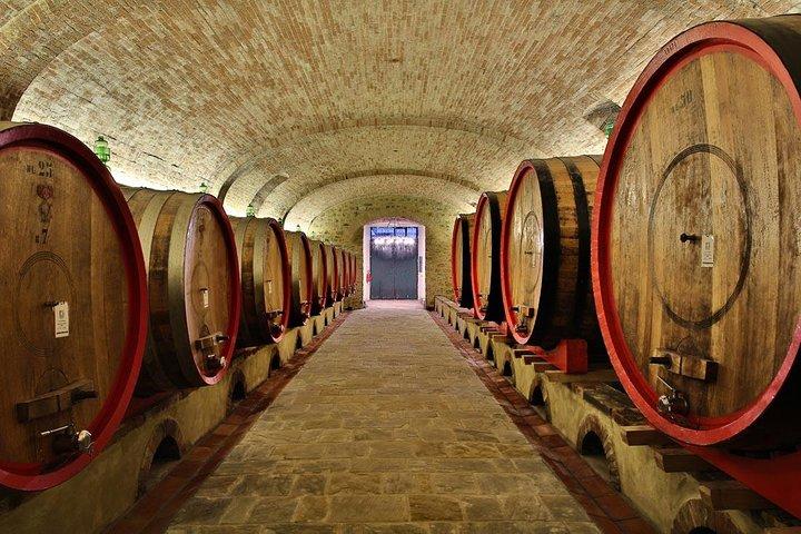 SMALL-GROUP Wine Safari : フィレンツェ発トスカーナワイン試飲ツアー