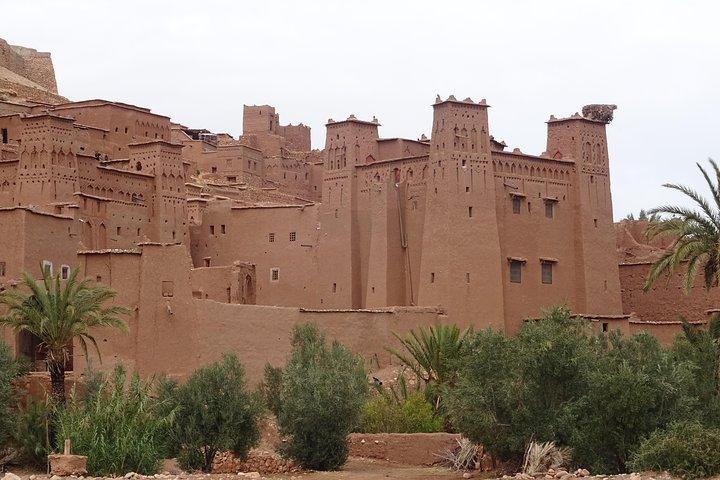 Da Marrakech: tour privato all'oasi e trekking nel deserto dell'Erg Chigaga