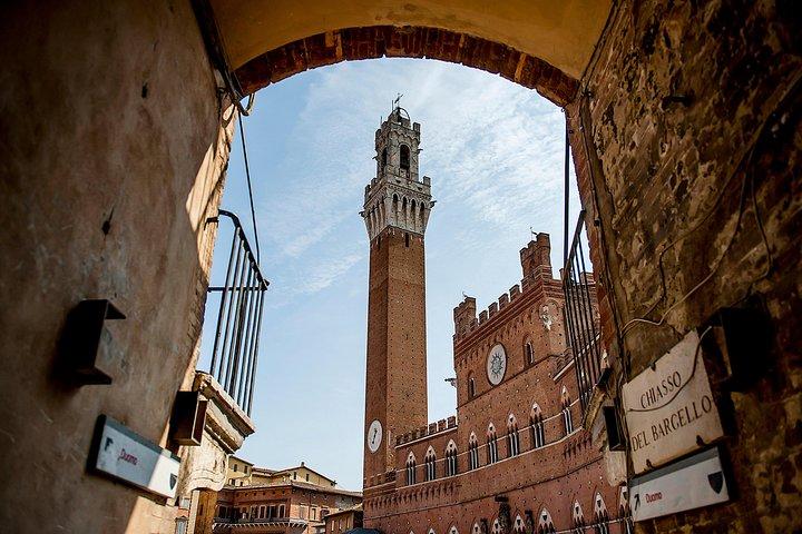Excursão de um dia pela Toscana a partir de Florença: Siena, San Gimignano, Pisa e almoço em uma vinícola