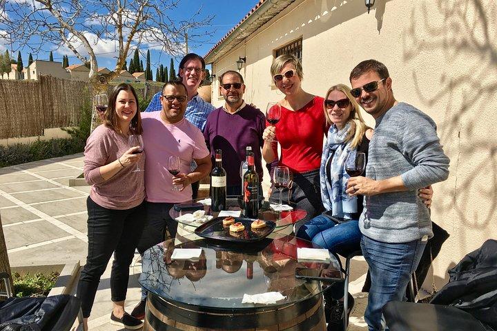 Tour privado a la bodega cerca de Madrid con Sommelier (6 - hora)