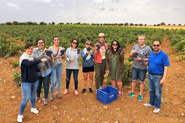 Visite privée de cave près de Madrid avec Sommelier (6 - heure)
