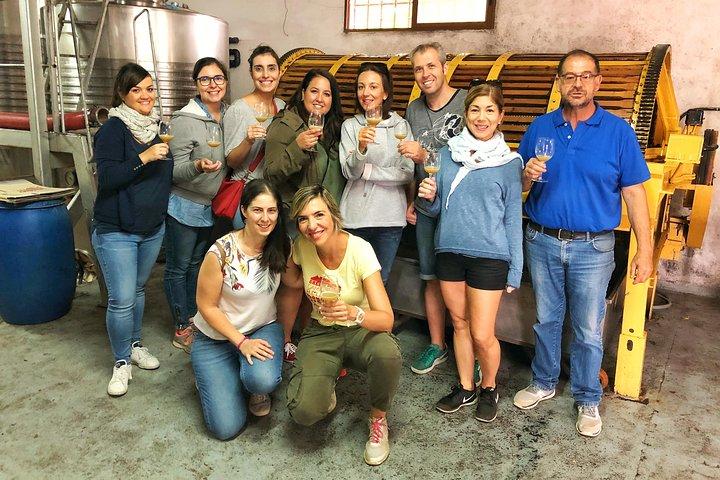 Visite privée de cave près de Madrid avec Sommelier (6 - heure)