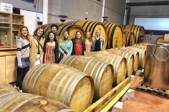 Visite privée de cave près de Madrid avec Sommelier (6 - heure)