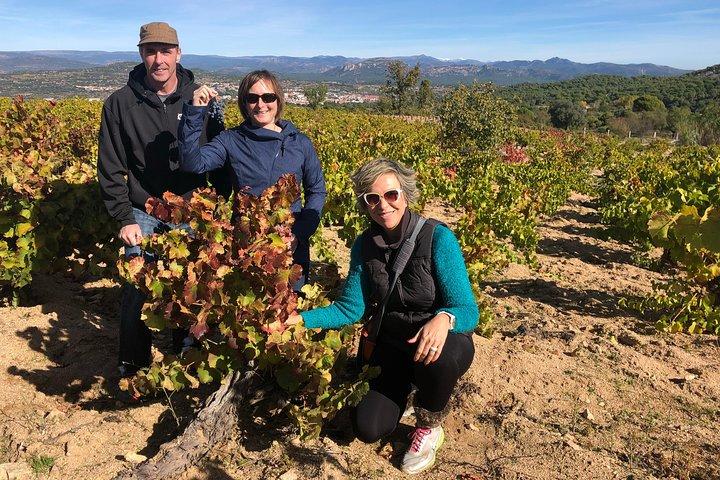 Visite privée de cave près de Madrid avec Sommelier (6 - heure)
