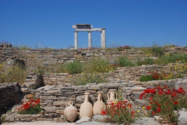 Delos Tour från Mykonos