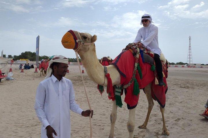 カタールゴールドデューンサファリ,デューンバッシング,ラクダ乗り,砂乗り,内海砂漠