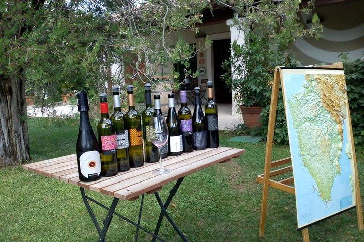 Eine Probe von Wein, eine Probe von Istrien - Ein kurzes aber erfülltes Programm