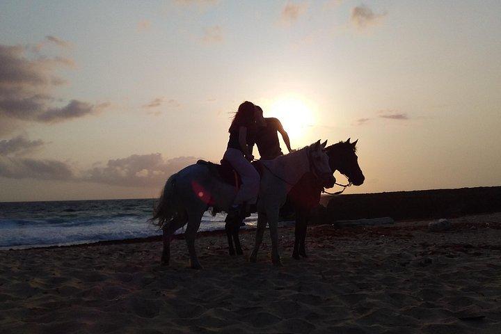アルバエコロジー&海岸線乗馬&ビーチフォトストップ付き