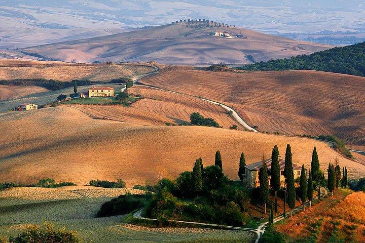 Excursão exclusiva de Val d'Orcia a partir de Florença - Um universo cinematográfico