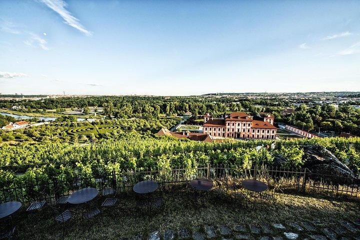 Prags dolda vingårdar privat rundtur