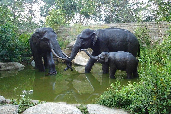 Matinée au zoo (avec option Petit-déjeuner)