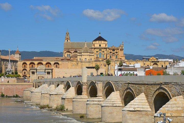 Privat 9 - Timmes tur till Cordoba från Granada med Hotel pickup