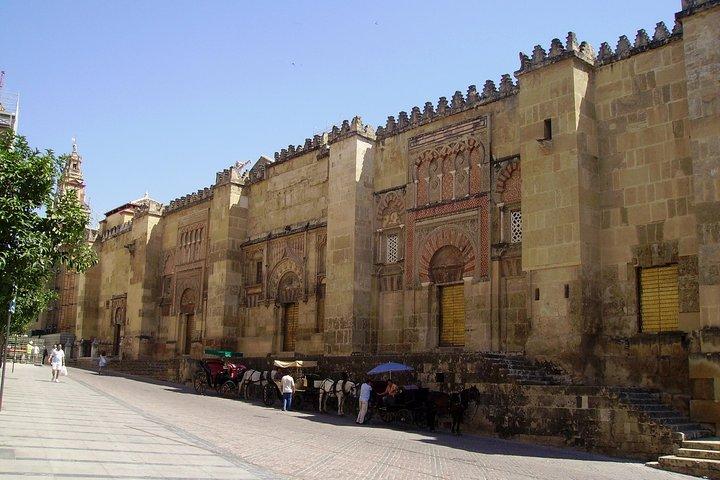 Privat 9 - Timmes tur till Cordoba från Granada med Hotel pickup