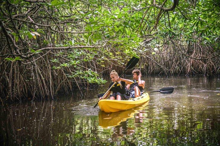 Madu River Sunrise Mangrovepaddling