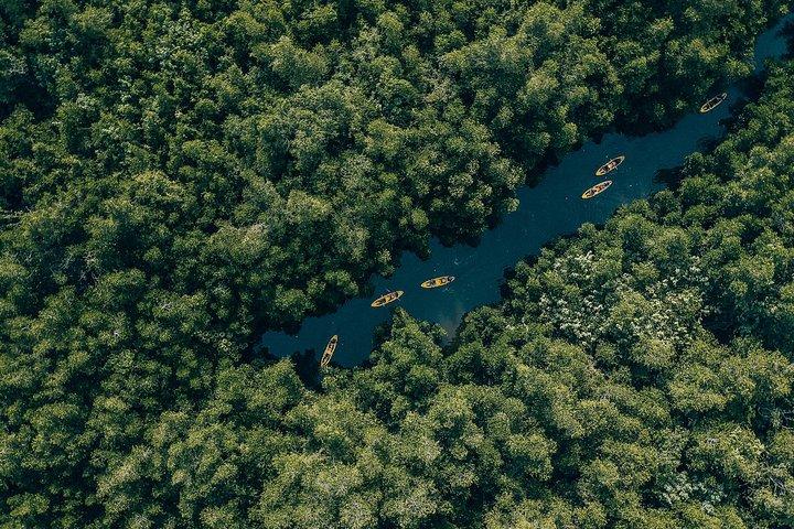 Madu River Sunrise Mangrove Kayaking da Bentota