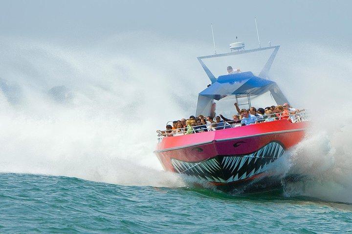 Paseo en barco de alta velocidad por Boston Codzilla