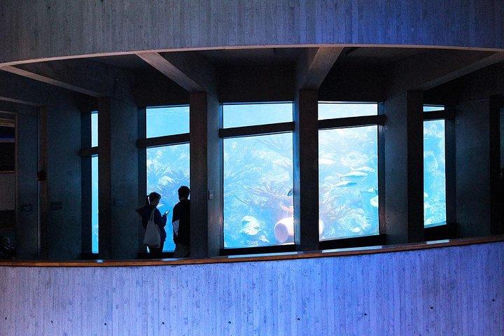 New England Aquarium Entrébiljett i Boston