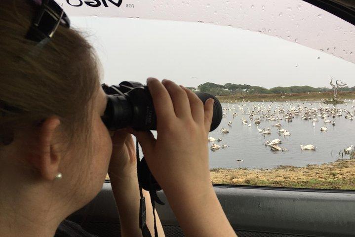 Bundala Birds Safari af Jeeps