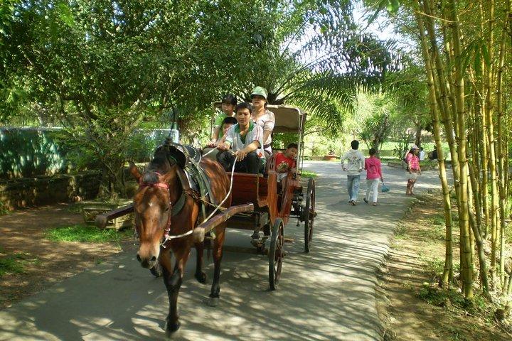Túneis de Cu Chi e excursão de dia inteiro ao Delta do Mekong para grupos pequenos