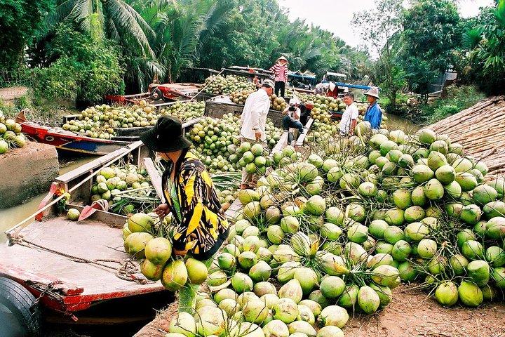 Túneis de Cu Chi e excursão de dia inteiro ao Delta do Mekong para grupos pequenos