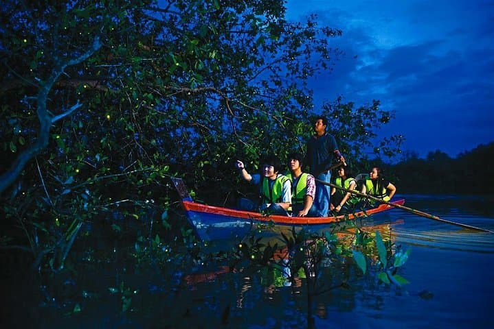 Malaysia Countryside, Batu Caves, Firefly & The River Of Life Tour