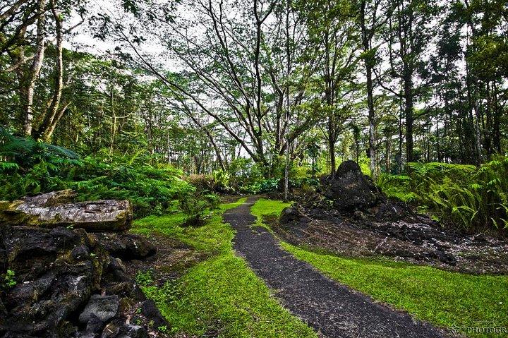 Escursione a Hilo Shore : Vulcano Safari Grotte di lava e sabbia nera