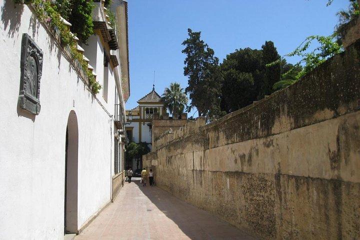 Ganzer Tag in Sevilla: Historisches Zentrum und Triana mit lokalem Reiseleiter