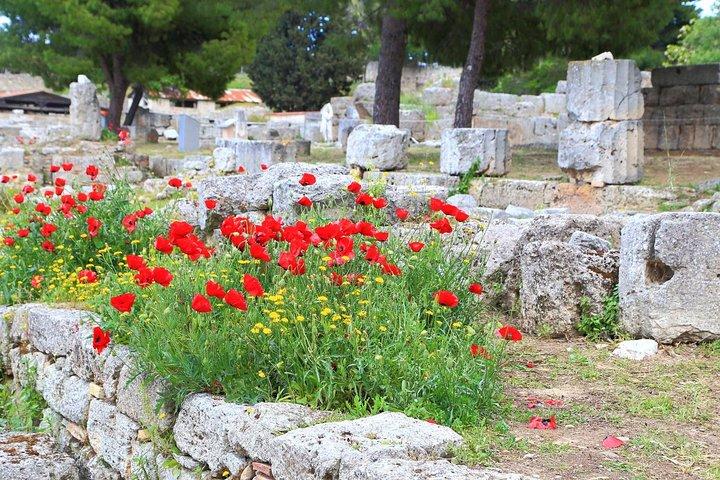 Ancient Corinth & Nafplion endagstur fra Athen