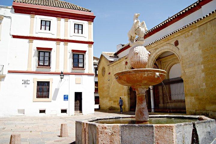 Cordoba e il suo tour in moschea da Malaga