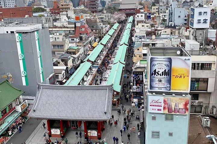 1日プライベートチャーター東京ツアー（グリーンナンバープレート）