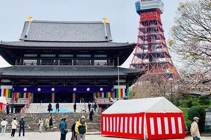 1日プライベートチャーター東京ツアー（グリーンナンバープレート）