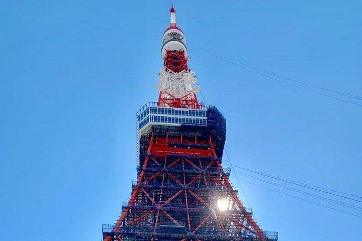 1日プライベートチャーター東京ツアー（グリーンナンバープレート）