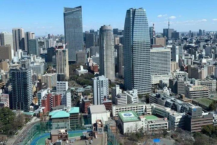 1日プライベートチャーター東京ツアー（グリーンナンバープレート）