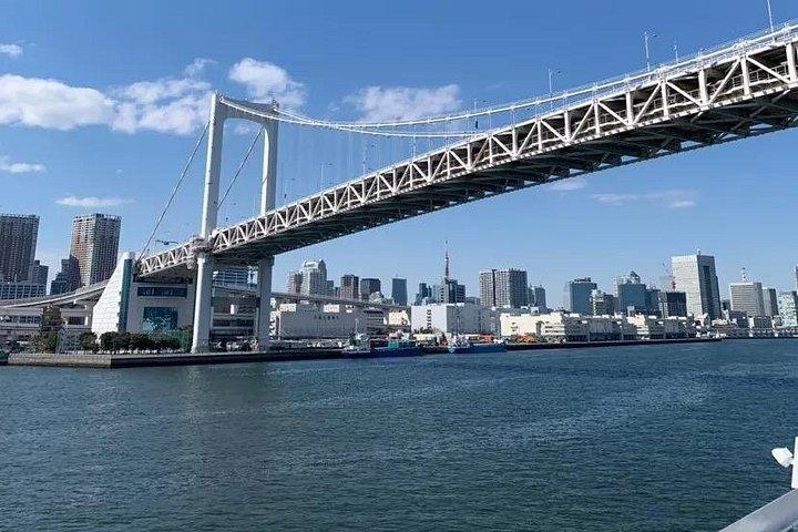 1日プライベートチャーター東京ツアー（グリーンナンバープレート）