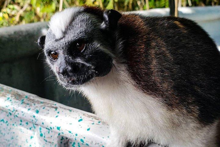 Ganztägige Gatun Lake und Indian Village Tour ab Panama City