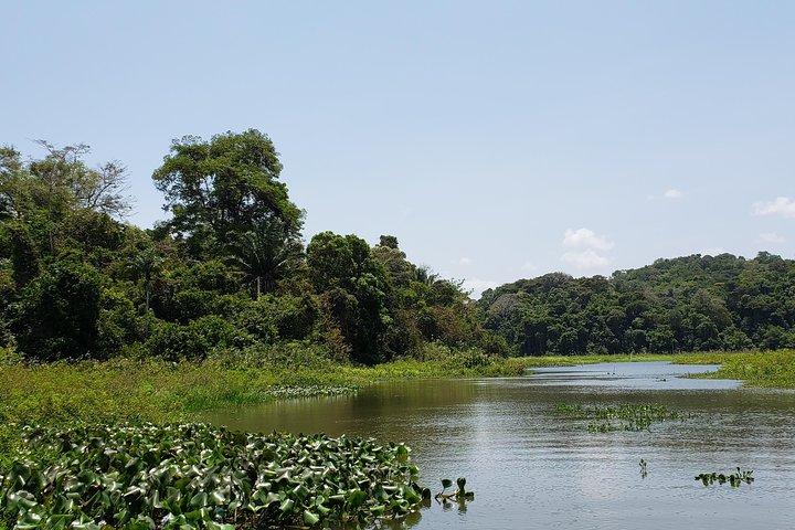 Ganztägige Gatun Lake und Indian Village Tour ab Panama City