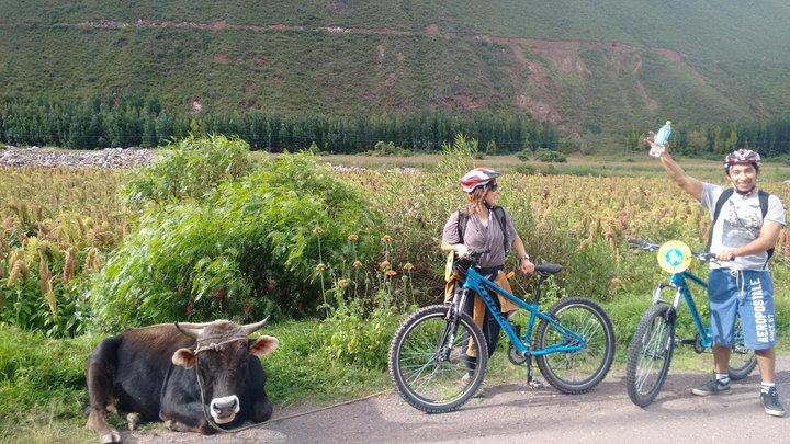Tour en vélo privé: South Valley of Cusco et le marché de Pisaq